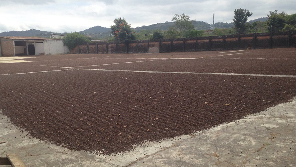Desde uno de los patios de Beneficio Desde uno de los patios de Beneficio